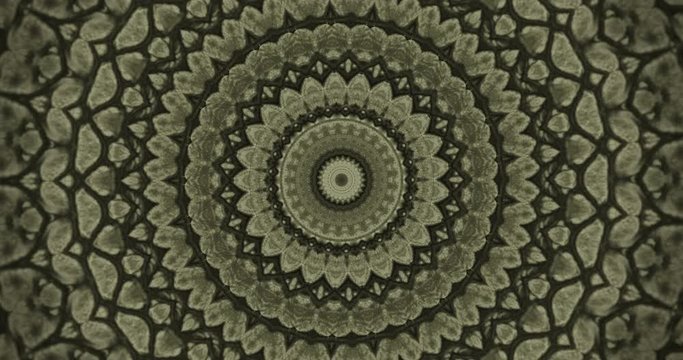 Parallax effect. Radial green snake skin background. Snake skin texture closeup. 4k zoom in footage