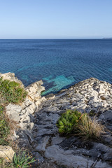 Scogliera Siciliana nei pressi di monte Cofano