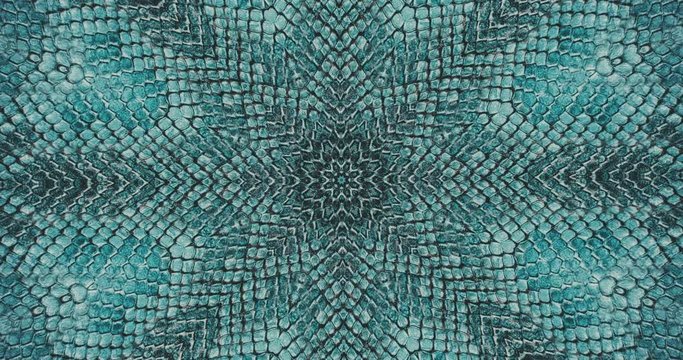 Parallax effect. Radial blue snake skin background. Snake skin texture closeup. 4k zoom in footage