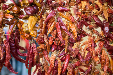 a variety of peppers of different kinds