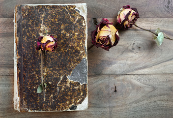 dry roses on an old vintage book. top view. copy spaces