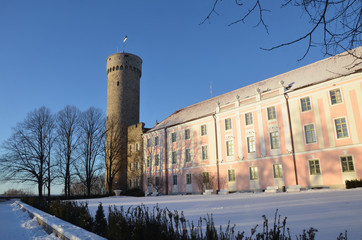Fototapeta na wymiar View Of Upper Town Castle Corner Tower Tall Hermann Or Pikk Hermann. 