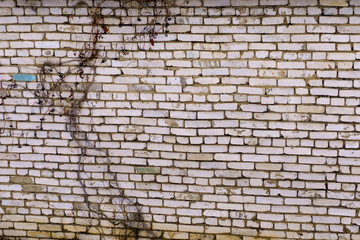 background of brick wall texture