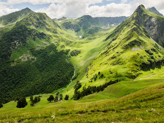 Amazing mountain landscape in Russia on sunny day. Alpine green meadow in Caucasus highlands. Idyllic valley in arkhyzmountains
