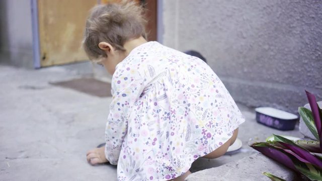 Baby, girl, two years old, tries to feed cats from bowls