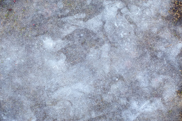 ice surface on the lawn