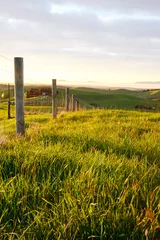Papier Peint photo Lavable Couleur miel paysage rural avec clôture en bois et champ de blé