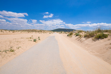 Fototapeta na wymiar asphalt straight road with sand lonely in Trafalgar Cape, near Canos Meca village (Barbate, Cadiz, Andalusia, Spain)
