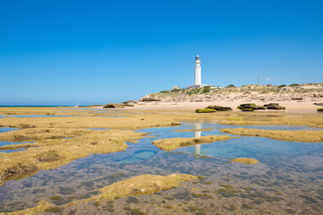beautiful scenery in low tide: lighthouse reflected on the water of Trafalgar Cape rocky seaside,...