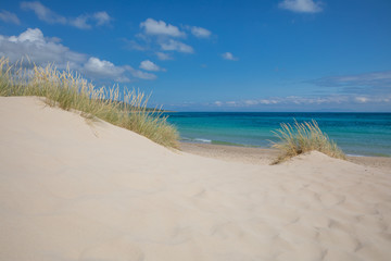 prachtig landschap van zandduinen met planten in wilde natuurlijke Beach Bolonia in Tarifa, Cadiz, Andalusië, Spanje. Horizon, blauwe lucht en wolken