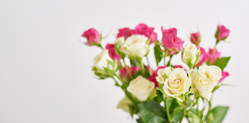 Spring card template. Happy Birthday or Valentine. Women's Day. Greeting card for mother's day. Congratulation with flowers. Flower card. Copy space. Wedding invitation. Roses on white background