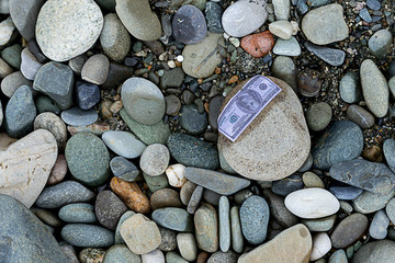 sea ​​pebbleswet dollar on stones american money