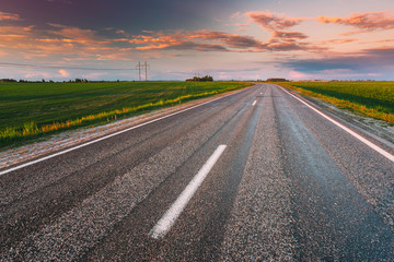 Asphalt Country Open Road Through Spring Fields And Meadows In Sunny Evening. Landscape In Early Summer Season At Sunny Sunset