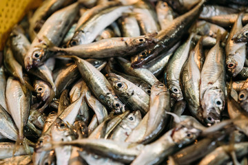 Fresh Fish On Display On Ice On Fishermen Market Store Shop. Seafood Fish Background. European Anchovy
