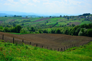 Fototapeta na wymiar Scenic View of a Green Field.Spring green valley panoramic landscape.Pastoral green field