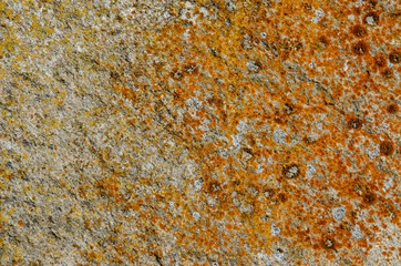 blank background. Rough surface. Old concrete wall with orange moss. The texture of the stone. Construction site.