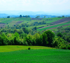 Spring green valley panoramic landscape.Pastoral green field 