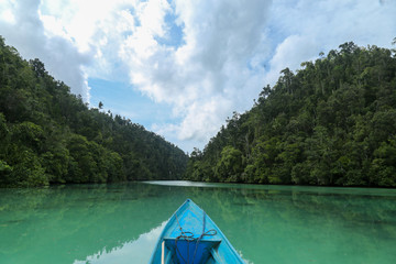 POV on the kayak on the Green river through the dense jungle inthe frorest of Raja Ampat, West...