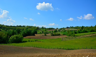 Spring green valley panoramic landscape.Pastoral green field 