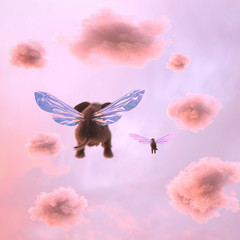 elephant and dog are flying in the clouds