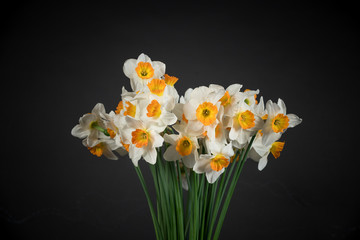 bunch of daffodils