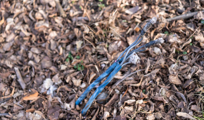 Power cable sticking out of the ground