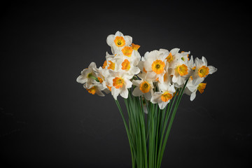 bunch of daffodils