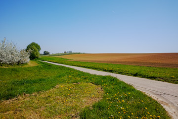 Spring landscape with fields, orchards and roads in Haspengouw region, Limburg, Belgium