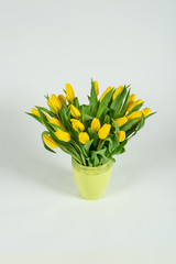 bouquet of tulips