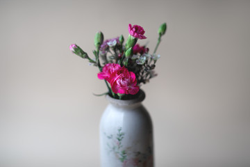Pink carnation in a vintage vase on a neutral pastel background.