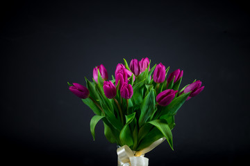 bouquet of tulips