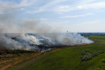 Fototapeta na wymiar Steppe fire. Burning dry grass, fire smoke