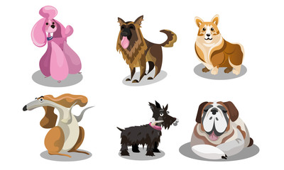 Set of funny cute various dogs breeds vector illustration