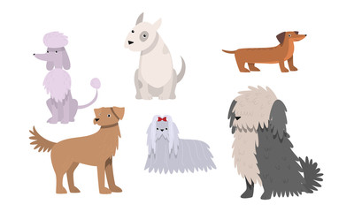 Set of funny big and small dogs breeds vector illustration