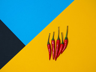 Chilli pepper on the black background. empty space for your text. blank for designers