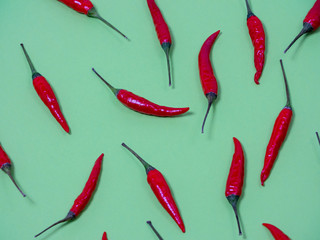 Chilli pepper on the green background. empty space for your text