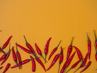 Chilli pepper on the yellow background. empty space for your text