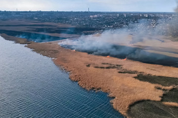 Steppe fire. Burning dry grass, fire smoke