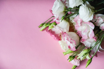a bouquet of white and pink eustoma flowers lies on a pink paper background with place for text. Copy space.