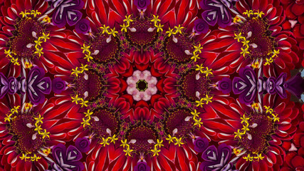 Seamless pattern with colorful flowers