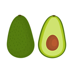 Avocado isolated on a white background. Vector illustration