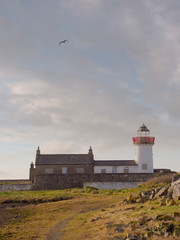 Fototapeta na wymiar Birds flying over old white lighthouse, Mutton Island, Galway city Ireland. Cloudy sky.