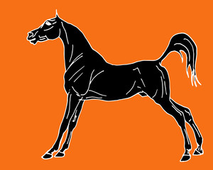 horse, drawing in the style of an ancient Greek black statuette on ceramics, vector isolated image on an orange background. Classical ancient Greek style 