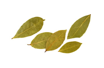 Obraz premium Bay leaves on white background. Spice aromatic.