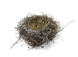 Empty nest isolated on white background.