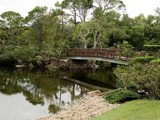 Fototapeta na wymiar Japanese Bridge Over a Tropical Pond