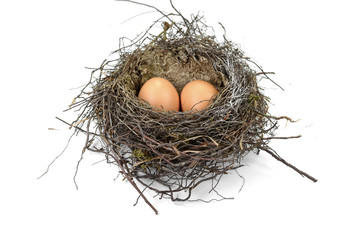 Nest with eggs. isolated on white background. Beautiful bird nest with eggs.