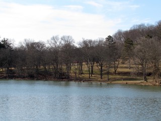 landscape with lake and trees in winter