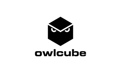 owl cube vector icon logo design concept