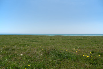 A bright green field with the sea in the background on the horizon, on a summer day with a clear blue sky.